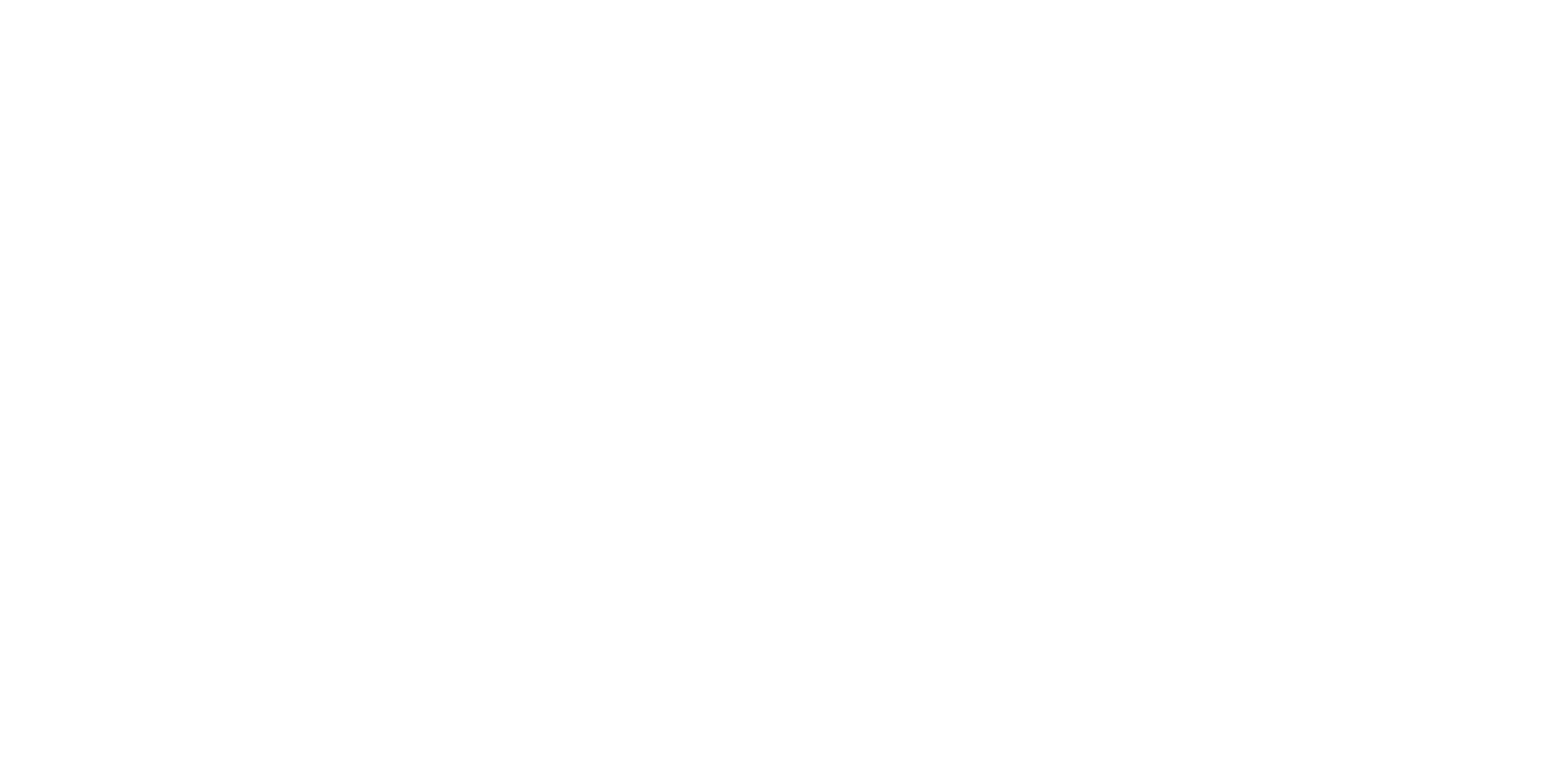 simple endurance coaching logo